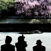 Japan Travelogue Tours