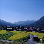 Nakasendo Highway Walking Tour
